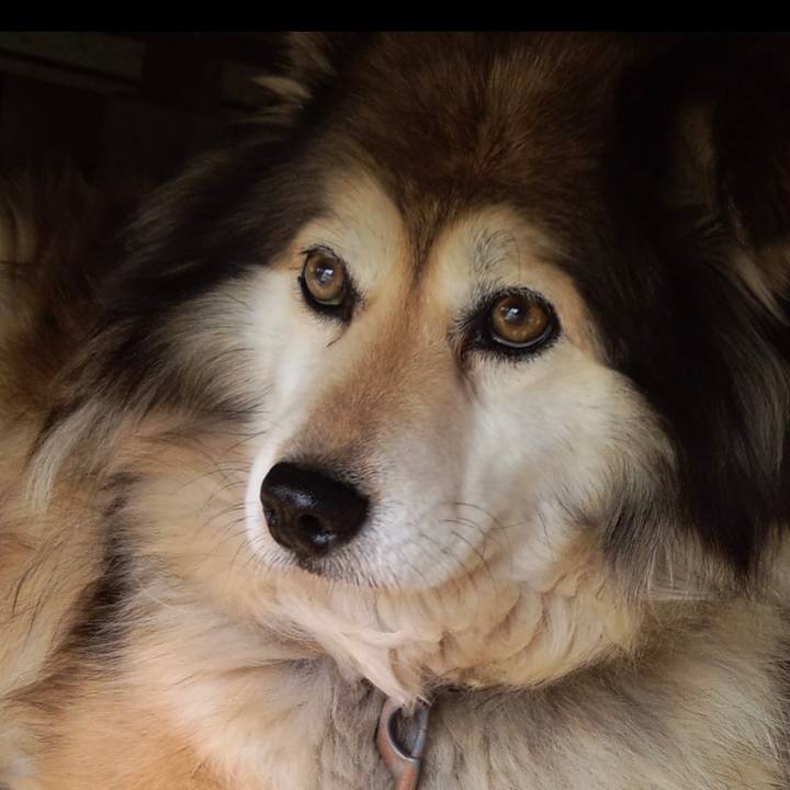 5aee50f8 48ee 443c 80d1 8d74eab23faf 1642071289538