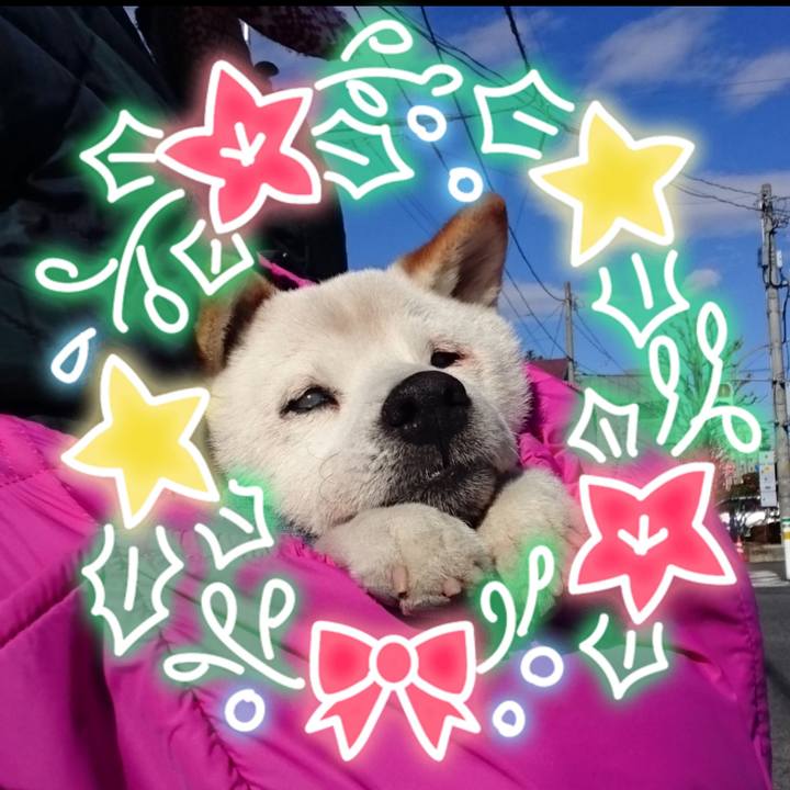 5aee58f5 1245 460c a1cc 6585859039a6 1608855996615