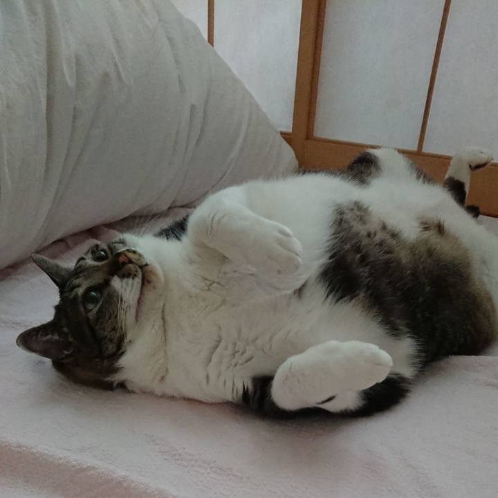 5aee7121 62c5 4c0f 8ff2 55f23c92b017 1528504115737