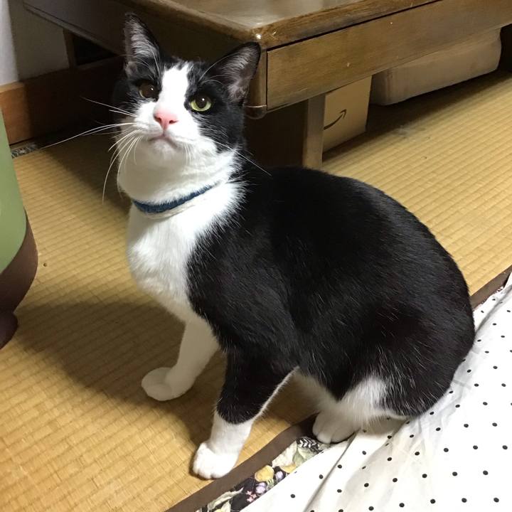 5aee9307 4097 40e7 93ee 47e26c121035 1682859544372