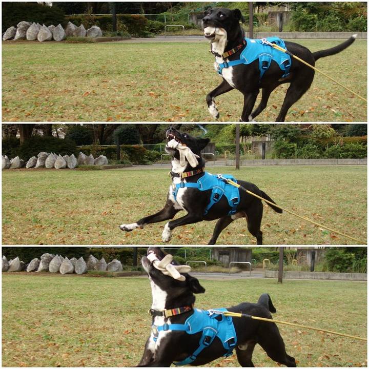 5aeec3c6 178b 4067 9f6a c52f6d227004 1604188620514