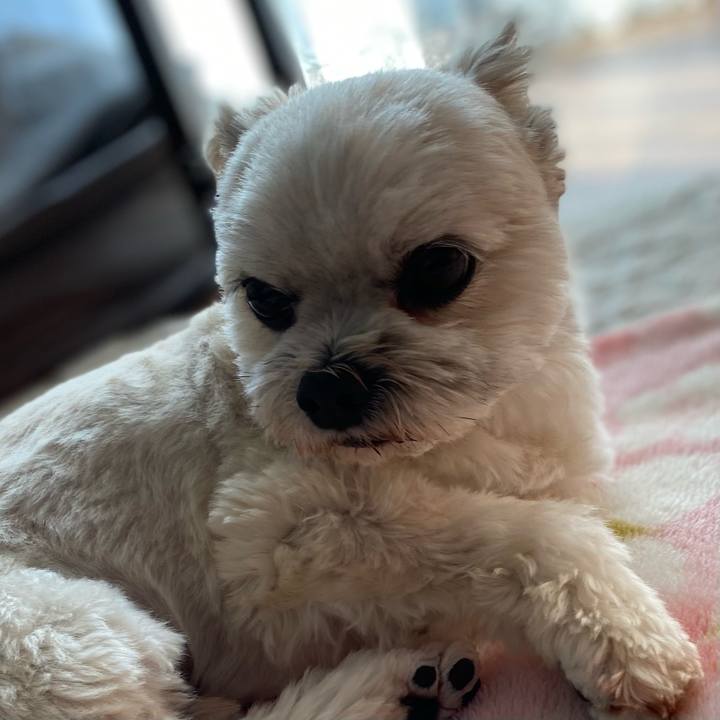 5aeee52f dbfe 4abe ba12 a5d454e34d77 1704098488307