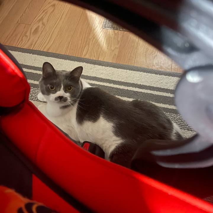 5aeee905 2a48 4f55 ac56 b07e4c525eb6 1723538196015