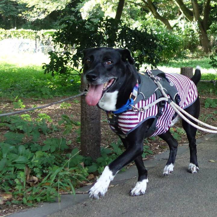 5aeefaf6 1b8c 428e ba54 862fe4451bc5 1660263297838