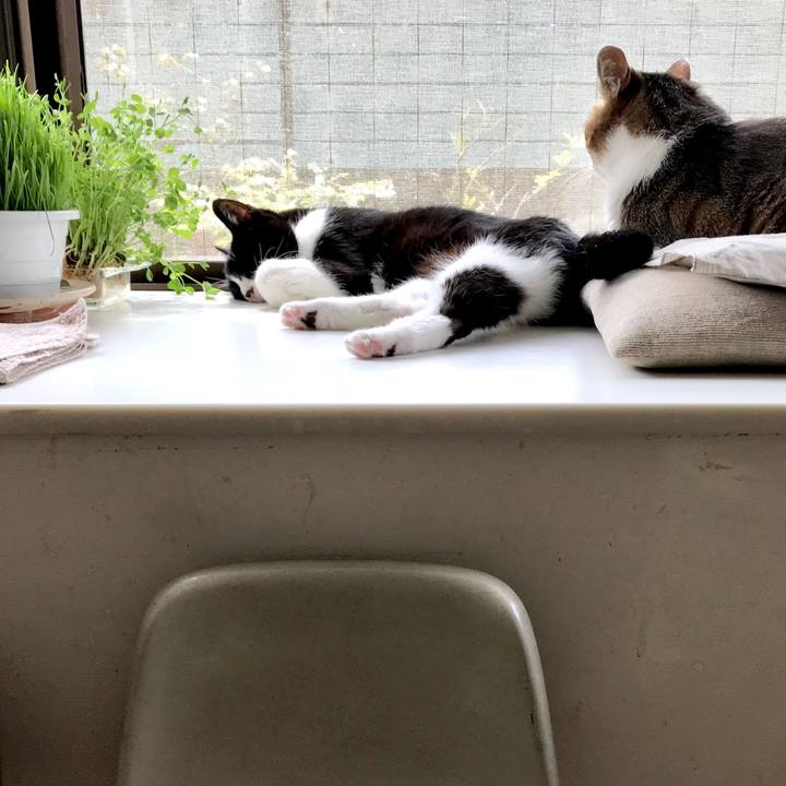 5aef0de5 1097 41ec b0ae d64bf0f9be25 1555933790791