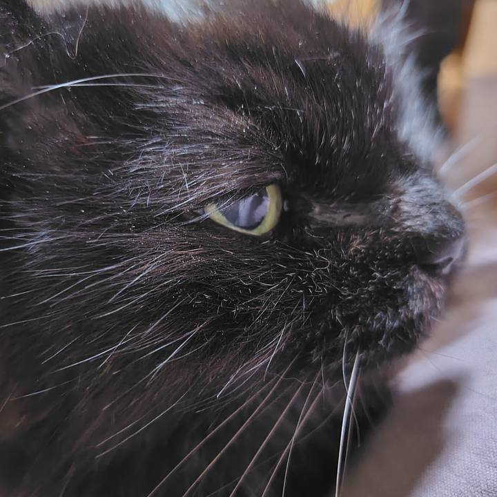 5aef1436 3c6f 4dc7 b7ce 078560479fb6 1748698524732