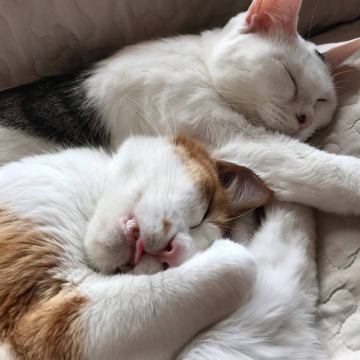 5aef1e08 7722 4ac1 9b45 b7d3f968fa80 1560657517931