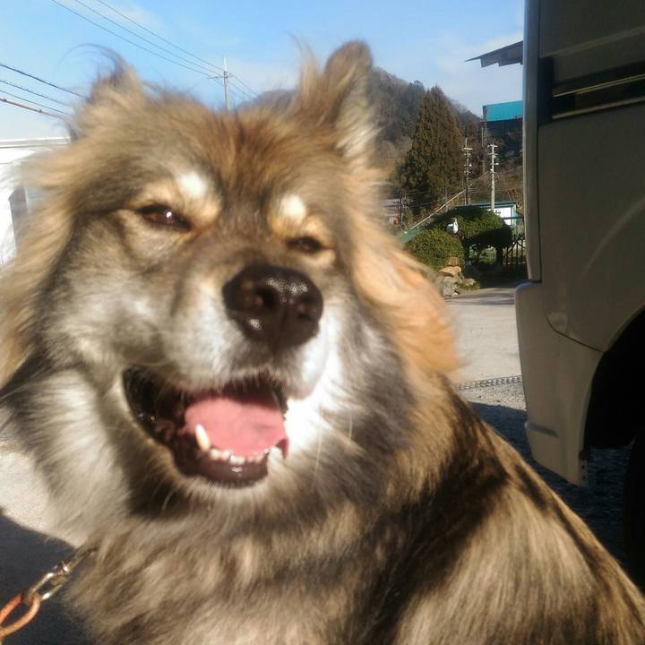 5aef4c6c 499b 4413 9013 207eb87e7c00 1551110027291