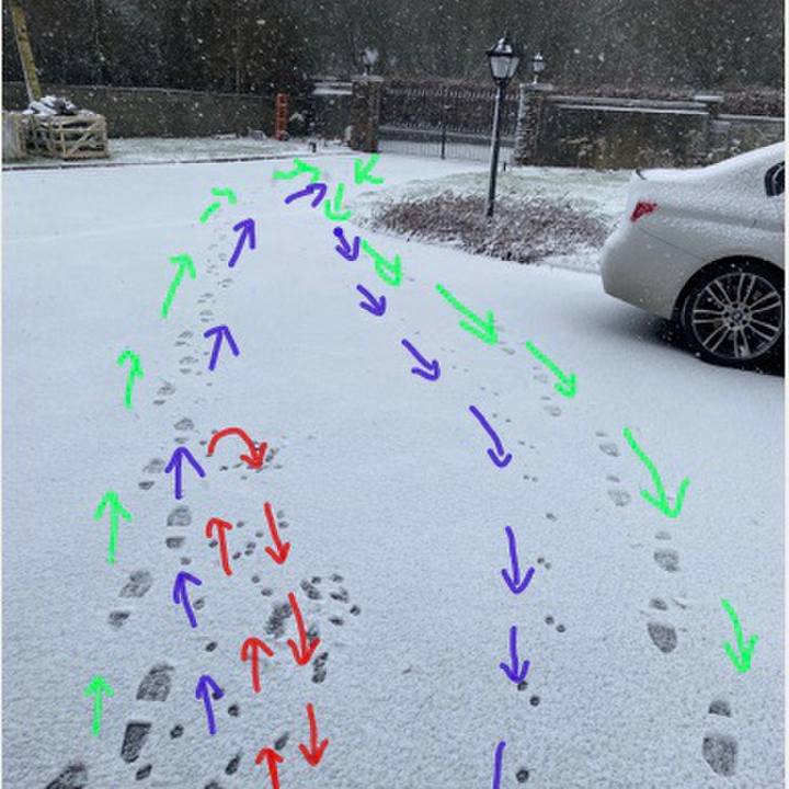 5aef71c9 7a47 4a06 a182 23f8f6e011d7 1613059286161