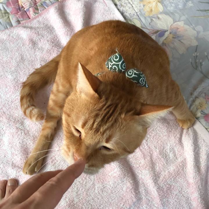 5aef8586 859c 4622 807d e4c4797050fc 1579731414137