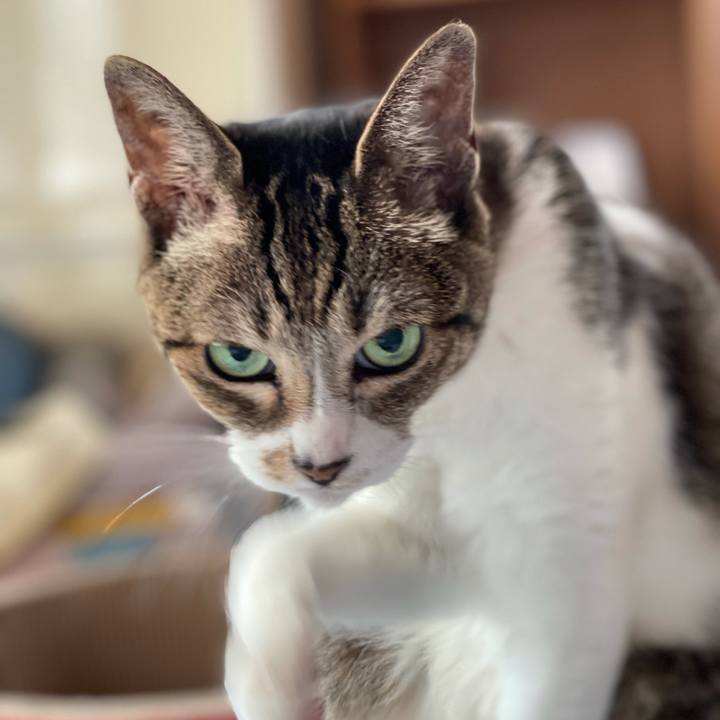 5aef8c9e 9cad 4664 ba52 ad2ac1ac9dd8 1629330495368