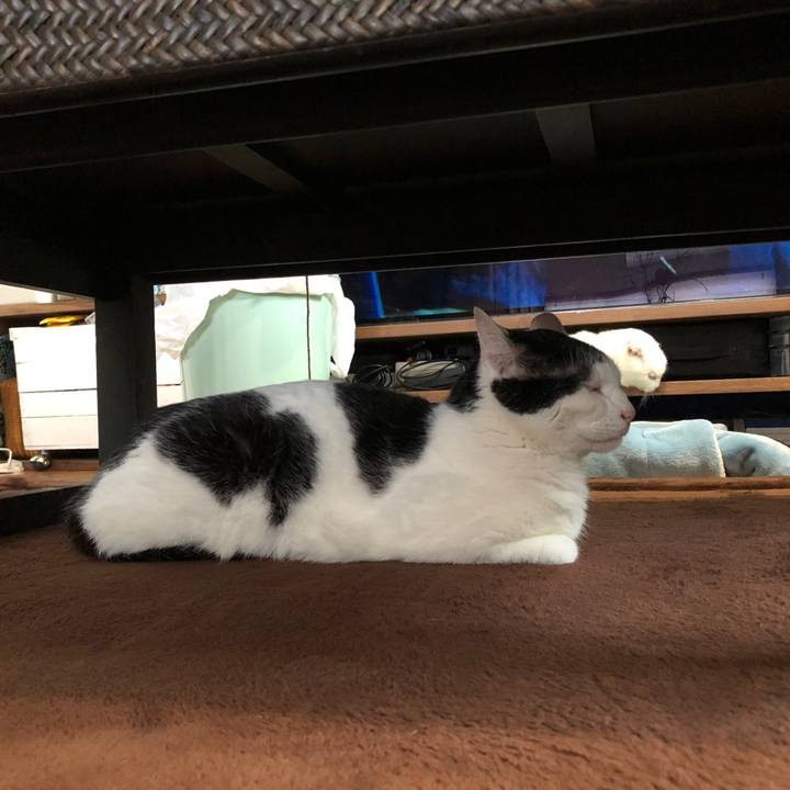 5aefff6e 91c3 4c15 807c de003ed85029 1622082105934