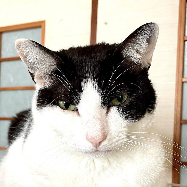 5af01380 a7a7 4c29 908d 31773ae428b3 1618019132633