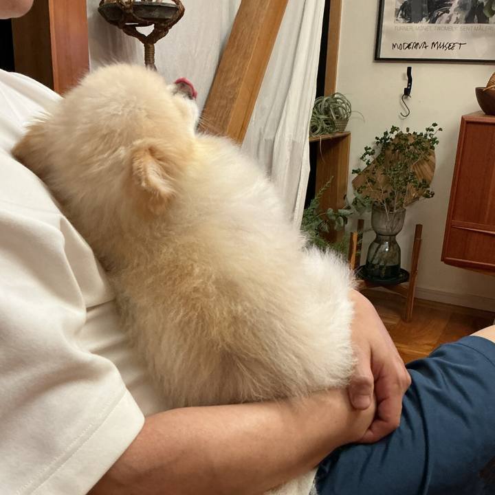 5af0758f c1a5 48ad bc03 00556bc03be4 1755428628669