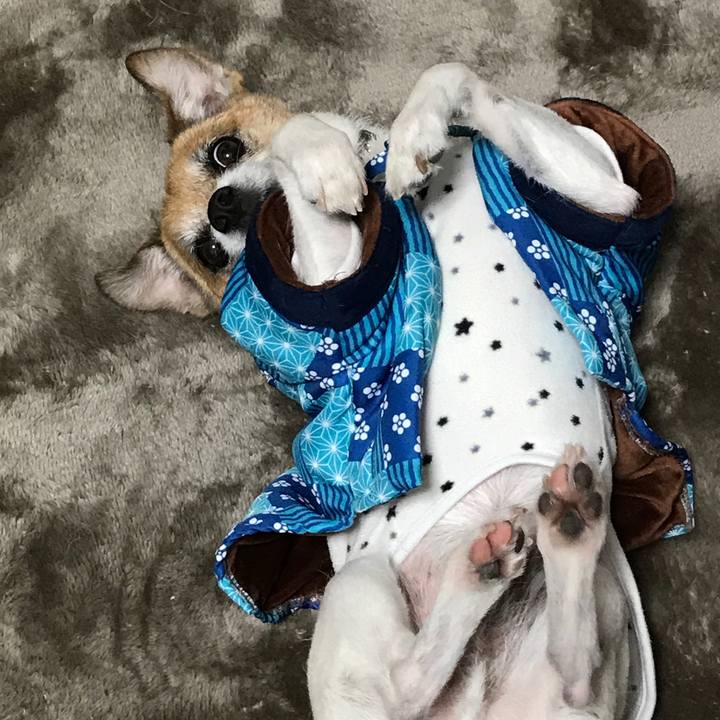 5af07f7c b96a 4e3f bdb3 d7c4873e6dc5 1583316081727