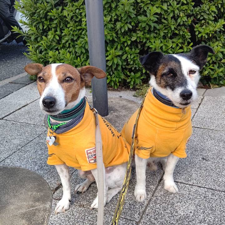 5af0d290 a168 43a1 9b6e bf231a173174 1700005359532