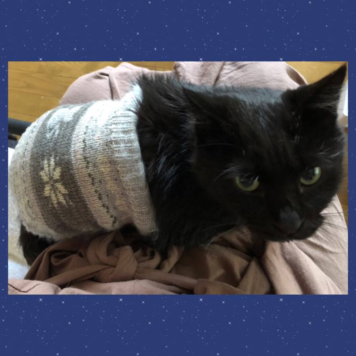 5af11175 ef5c 4fe1 b901 4cdd3a11370a 1603834991471