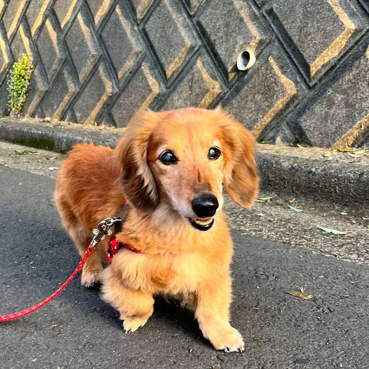 5af1184c 941b 4238 8e9a b151fd7b815c 1651668886683