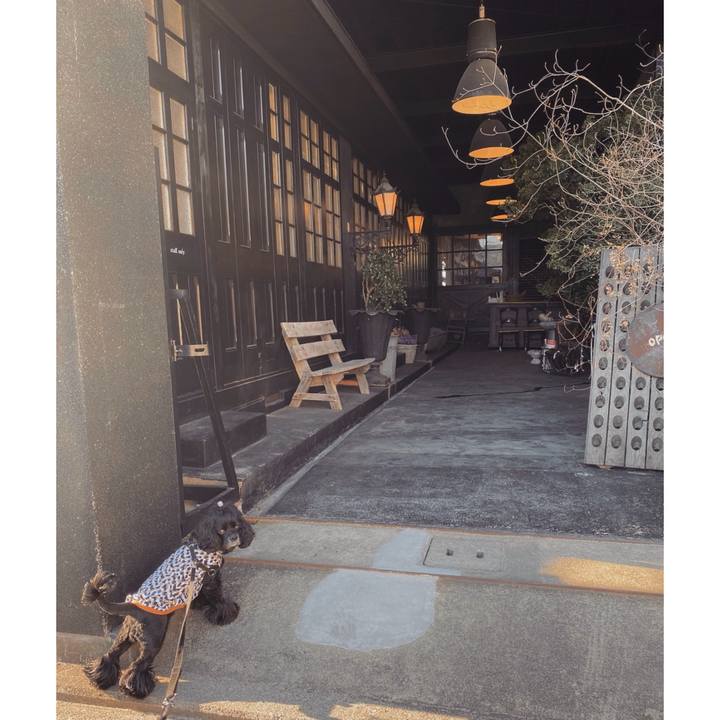 5af12a22 6e8d 4f05 8e81 ad8c437f1f97 1585217345248