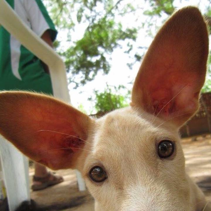 5af12b07 38c6 4a70 bbab adab44f1520e 1536582625541