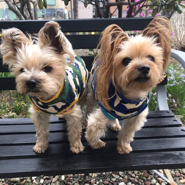 5af15521 3ed7 4746 92a0 34c34e41062e 1587891994499