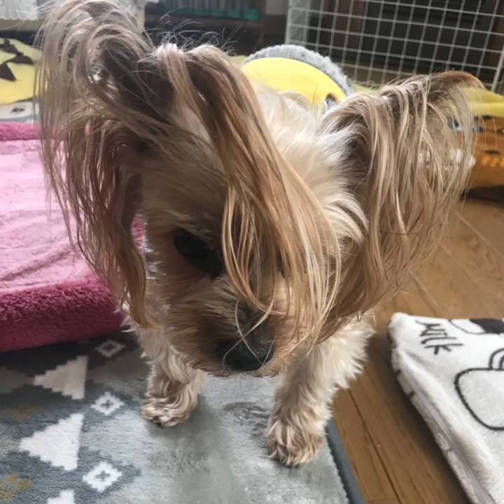 5af17e73 dc0c 4e91 b1a4 a5fe11a25b37 1555311122690