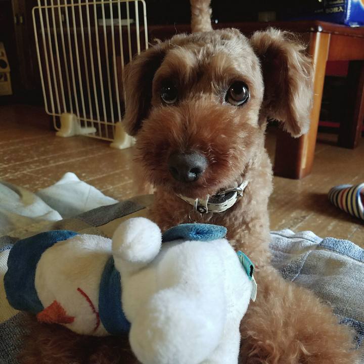 5af1c250 5787 4b9d a04b 142e7d250405 1534957547681