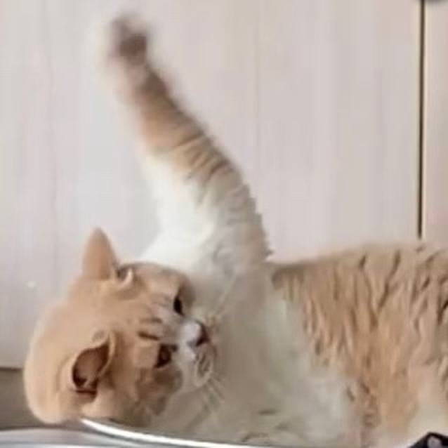 5af1e2c1 d9c4 4558 b941 801b61ba96de 1665198648726