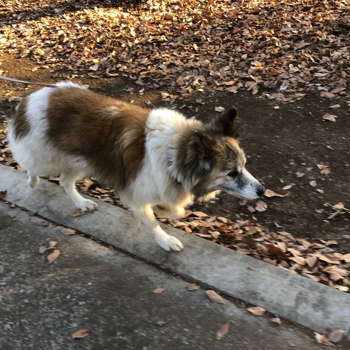 5af202e1 dff6 477e 8365 6655bf7749b8 1514453568522