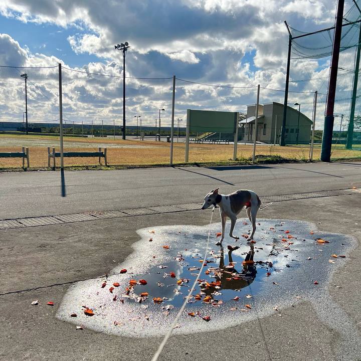 5af2075b 2980 48cf 8cc5 78ca731e9c66 1762158795881