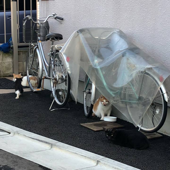 5af209ee c46b 4383 8908 5136614ec7d7 1535963587826