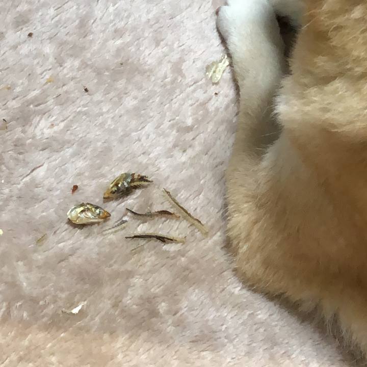 5af2229f d590 4b8c 971f 84161015e952 1581923324391