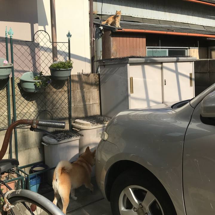 5af2326c 9dec 47a9 a8da 7b1368490100 1517316631333