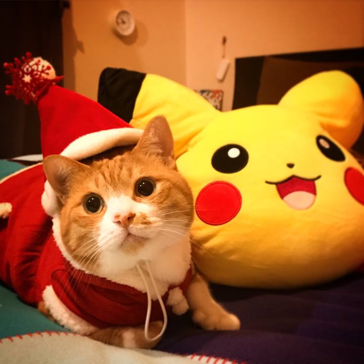 5af23ba5 12d4 4c13 81f1 45de6aa64db3 1514128553160