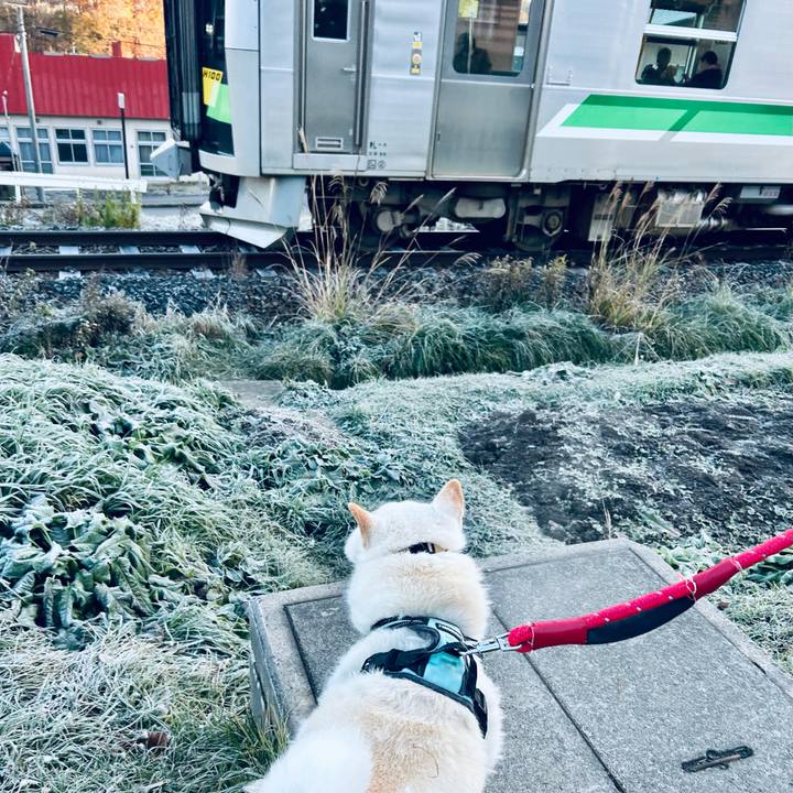 5af25b5c f8d9 44d9 a5f8 eb78d69561b5 1700092312368