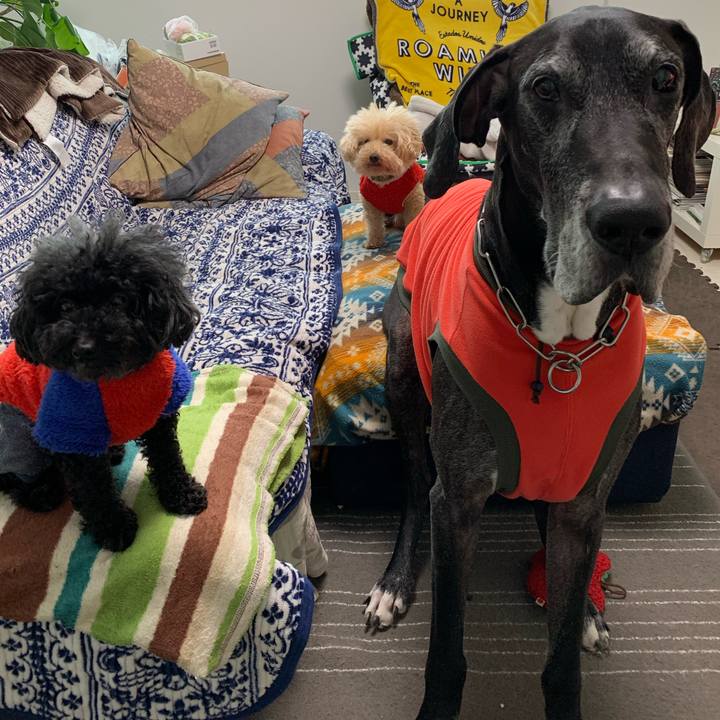 5af28ead e5fc 4fa9 bc5d 1bdb4cd18270 1581633656215