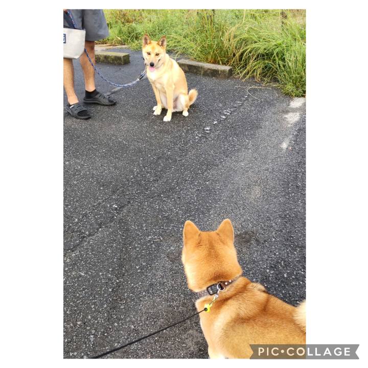 5af312ab f048 42b7 ac24 a8fb3a83473b 1686260755998