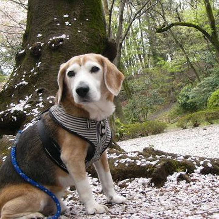 5af325d9 57d6 4332 8cdd 512b9530d752 1648946451268