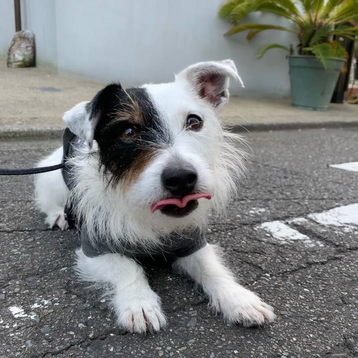 5af32b8f feab 4281 a43c a7dbfe67927e 1653464323589