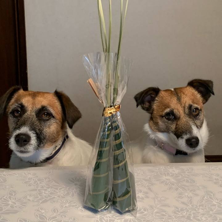 5af3443a 34dc 4a70 bd66 4b6d6c6d14d8 1592118636872