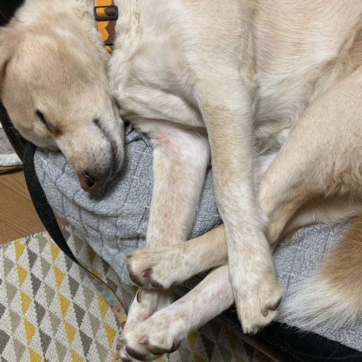 5af34f81 cef7 44bf 9183 5e788d63ac52 1577543329739