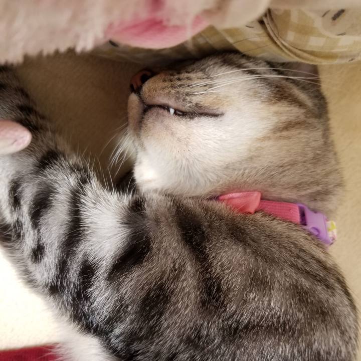 5af35f92 fa2c 4944 9494 a954f05c7bd4 1682071202029