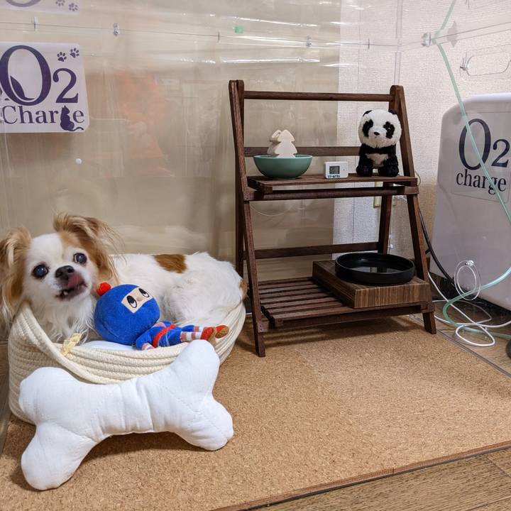 5af37d36 d094 43ec a4f5 89e2f531eb93 1678553047888