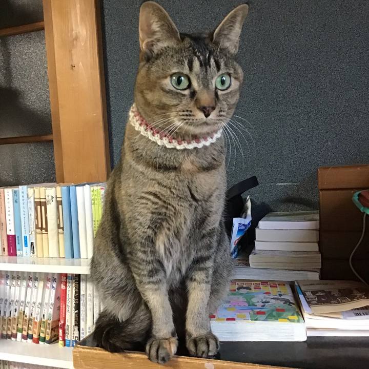 5af3a2ad e740 47dd beda f2f59d159393 1650099590366