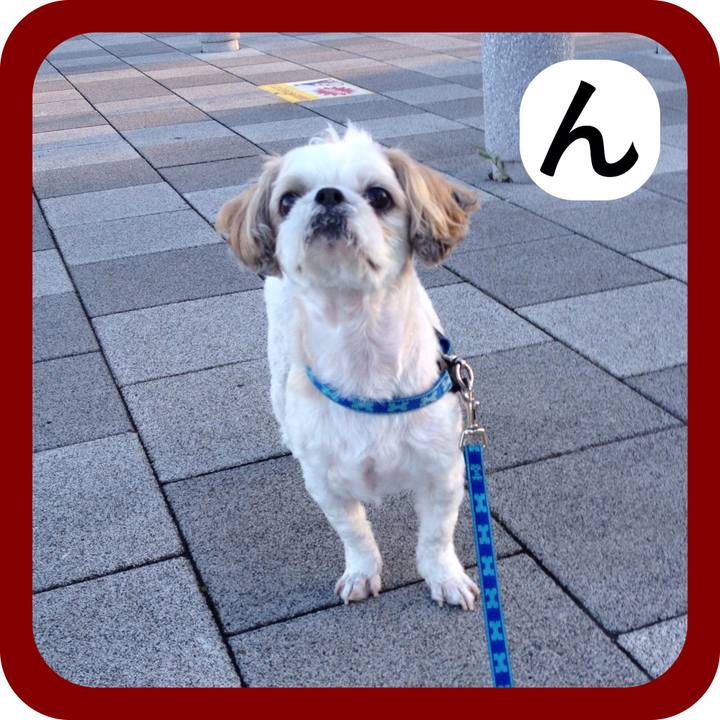 5af3d6c5 71b0 47bf 8888 e08dc82d4627 1515288322832