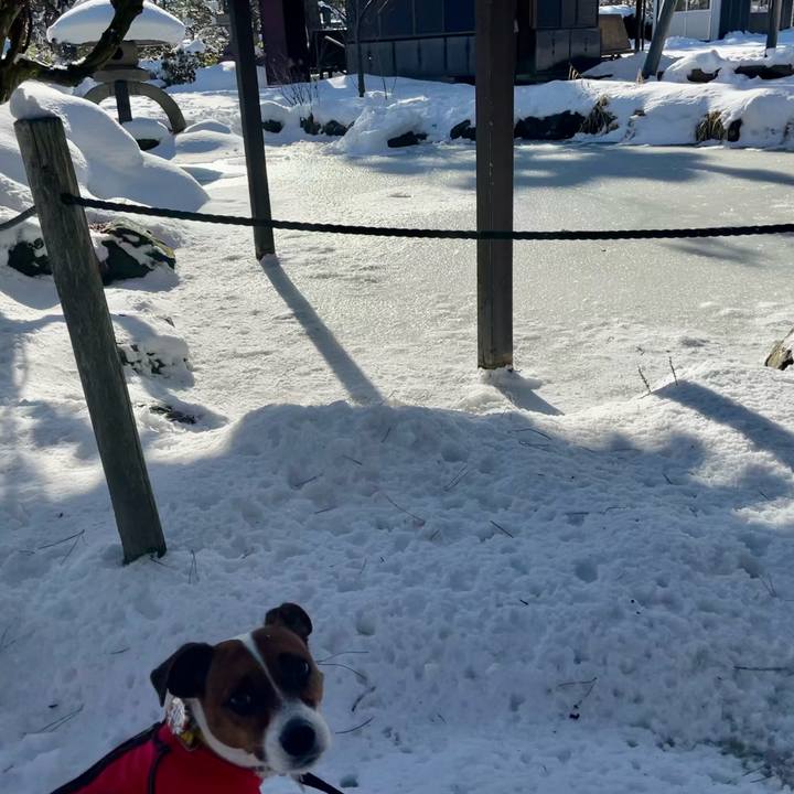 5af44384 62f9 427a 8f19 74ccf467639e 1642837219497