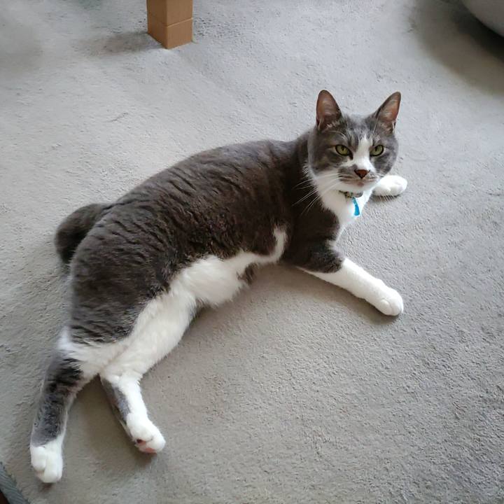 5af460db beda 4ade a157 cc0c39b7f8d3 1717724215246