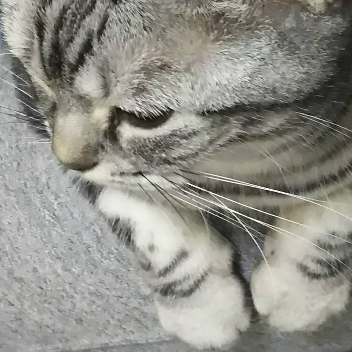 5af47067 e46b 4b11 a28f 0ed56f456db1 1613203925870