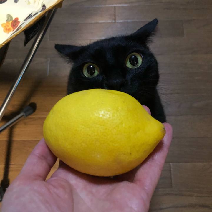 5af48a00 7846 40e4 b58f 674717f3eb10 1601891145662