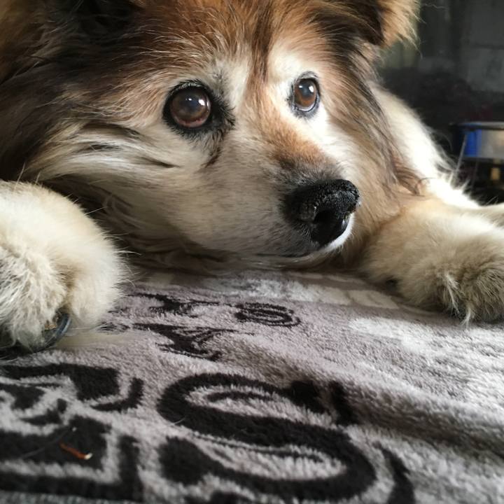 5af49701 64fa 4a52 8db7 392fa168567b 1576354378537